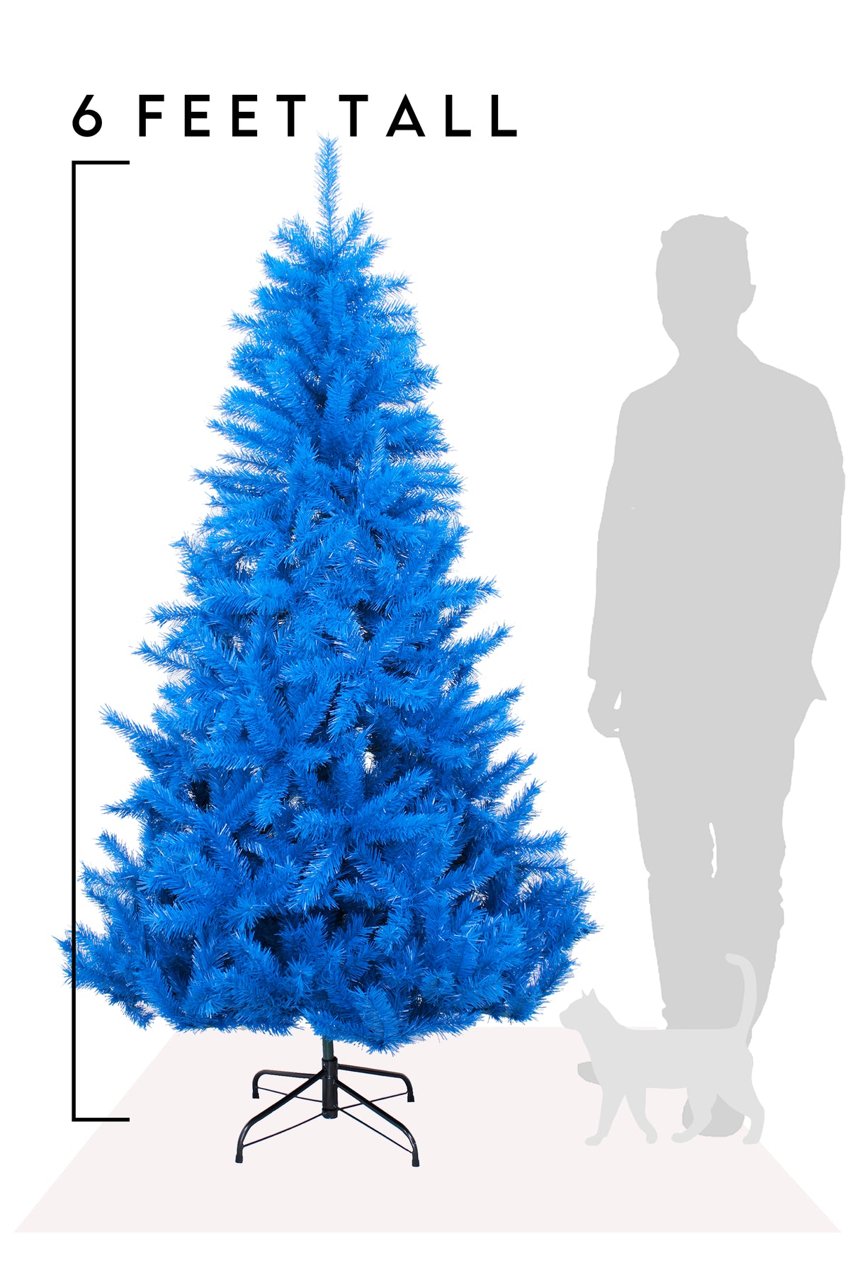 6 Feet Tall Blue Norway Pine Tree