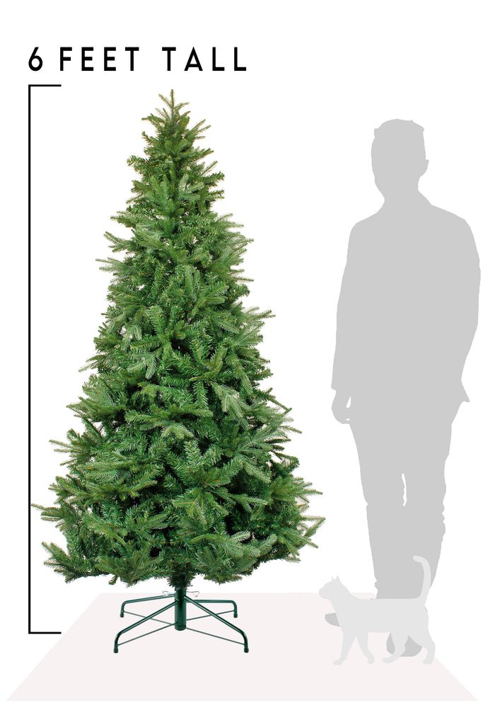 6 FT Northern Shasta Fir Full Christmas Tree