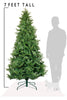 7 FT Northern Shasta Fir Full Christmas Tree