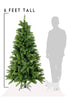 6 FT Noble Fir Full Christmas Tree