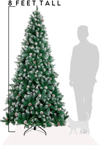 8 Feet Tall Frosted Oregon Fir with Snow Dusted Pine Cones
