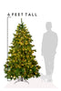 6 FT Prelit Calgary Spruce Christmas Tree with Warm White Lights