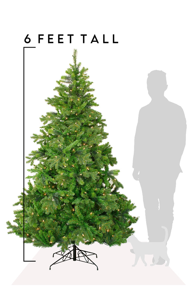 6 Feet Tall  Prelit Tapered Salem Pine 1145 Tips, 350 Lights
