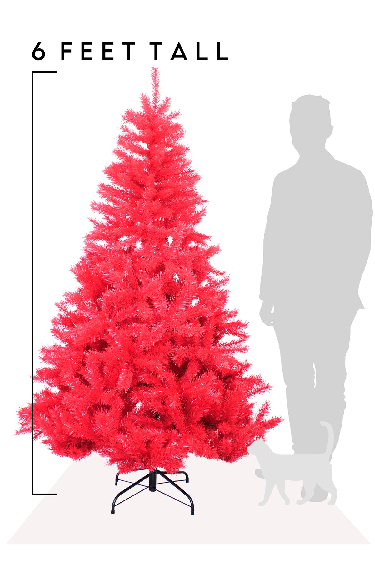 6 Feet Tall Red Norway Pine Tree