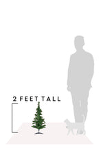 2' Green Tabletop Tree Set with Stands, Set of 2