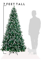 7 Feet Tall Frosted Oregon Fir with Snow Dusted Pine Cones