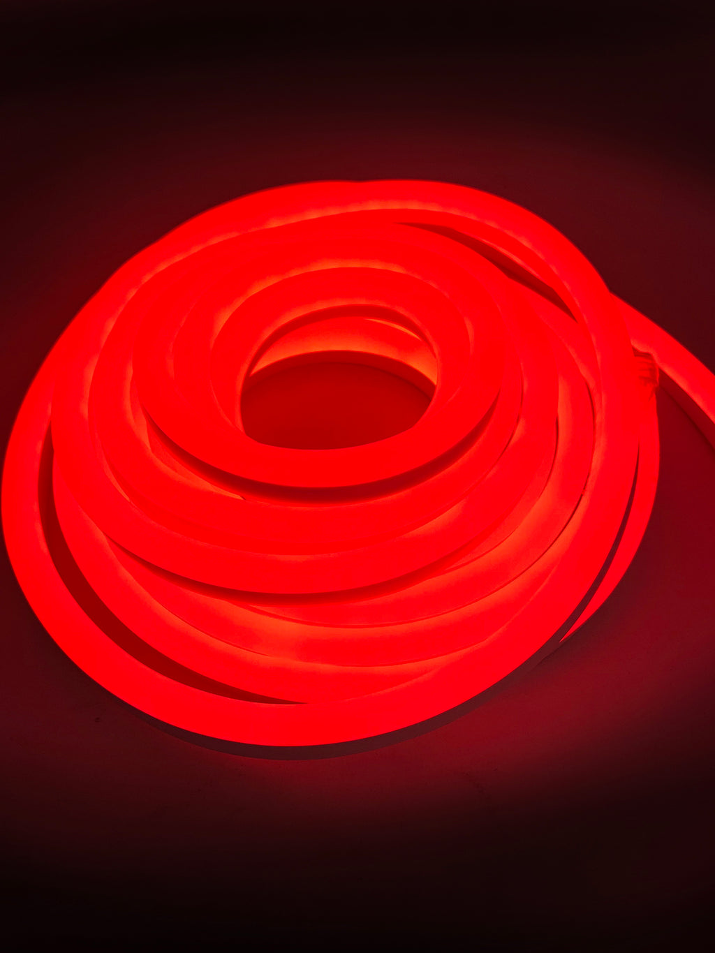 Mystery Space Decor 16' Neon Rope Light Indoor/Outdoor