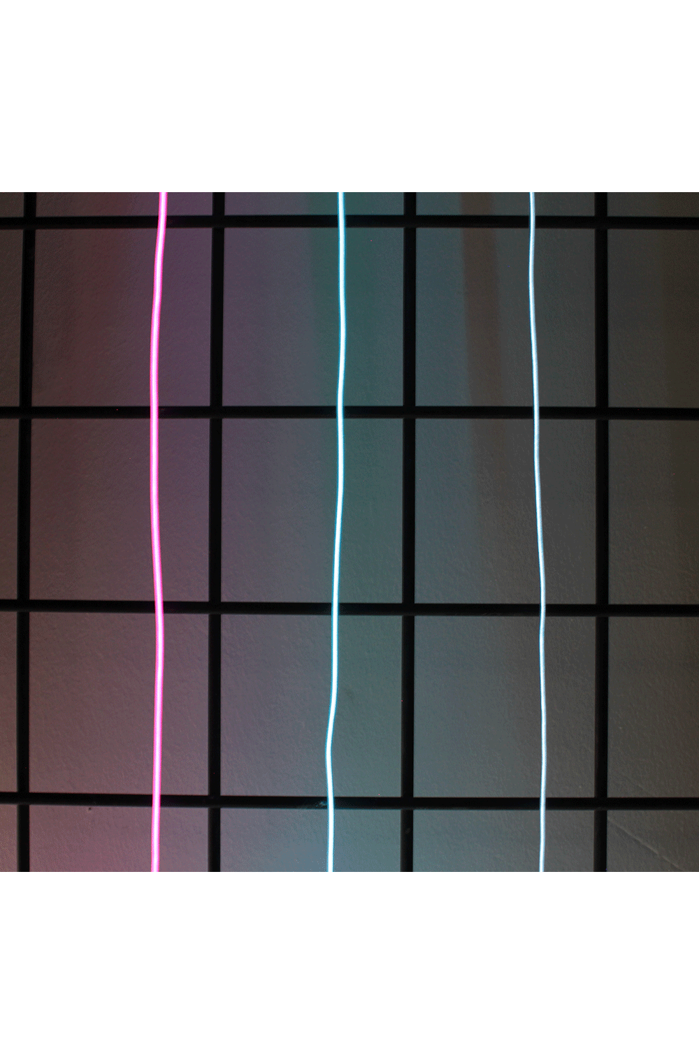 Accent Light 9' Neon String Light - Battery Operated