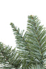 Real Christmas Prelit Spruce Tree