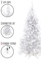 38' White Spruce Tree with Metal Stand