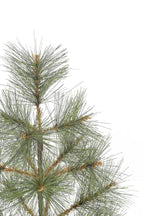 24" Tabletop Mountain Pine Christmas Tree with Burlap Wrapped Base Look So Real Pine Tree