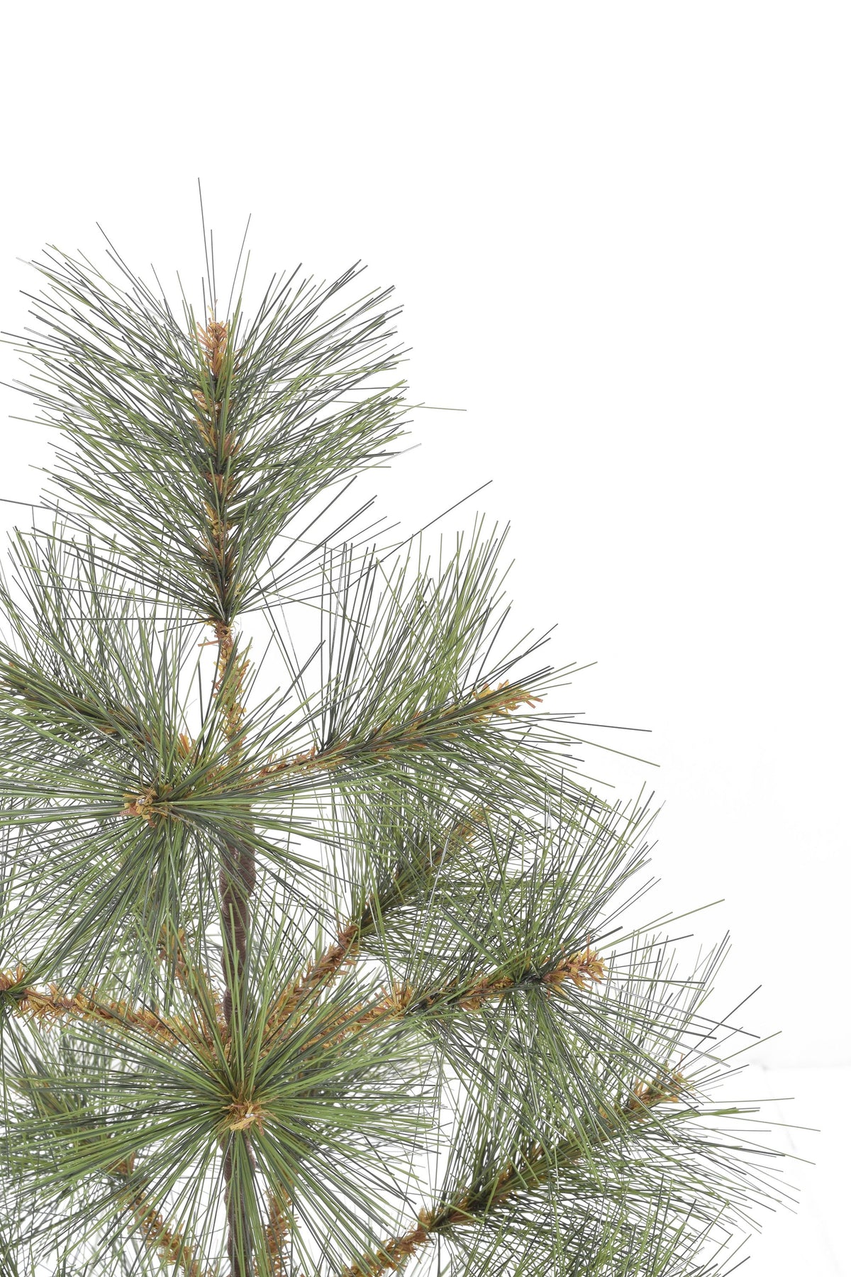 24" Tabletop Mountain Pine Christmas Tree with Burlap Wrapped Base Look So Real Pine Tree
