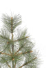24" Tabletop Mountain Pine Christmas Tree with Burlap Wrapped Base Look So Real Pine Tree