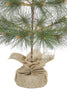 24" Tabletop Mountain Pine Christmas Tree with Burlap Wrapped Linen Mesh  Base