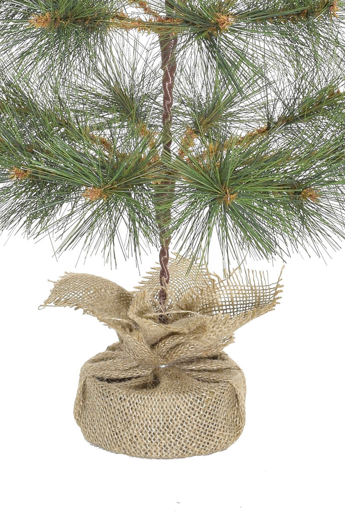 24" Tabletop Mountain Pine Christmas Tree with Burlap Wrapped Linen Mesh  Base