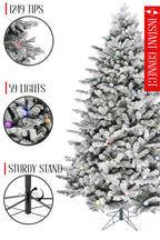 59 Lights Pre-lit Large Bulb Snow Flocked Grand Noble Fir with Metal Stand - Instant Connect Feature