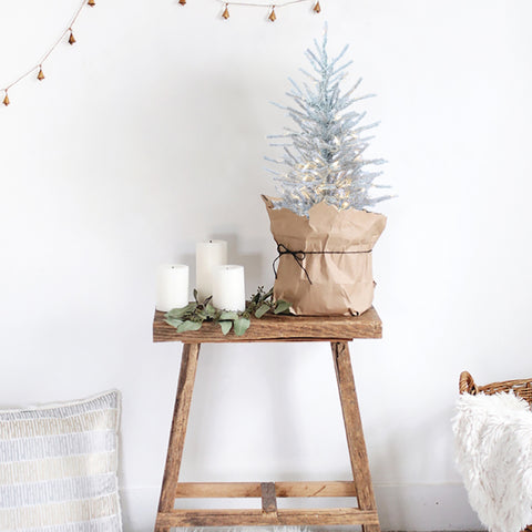 Popular Christmas Trees