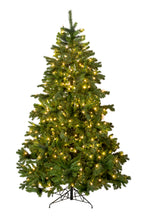 Holiday Home Decor Prelit Calgary Spruce Christmas Tree with Warm White Lights