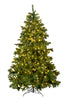 Holiday Home Decor Prelit Calgary Spruce Christmas Tree with Warm White Lights