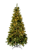Holiday Home Decor 6' Prelit Nobel Fir Christmas Tree with Warm White Lights