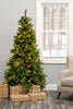 6' Prelit Nobel Fir Christmas Tree with Warm White Lights