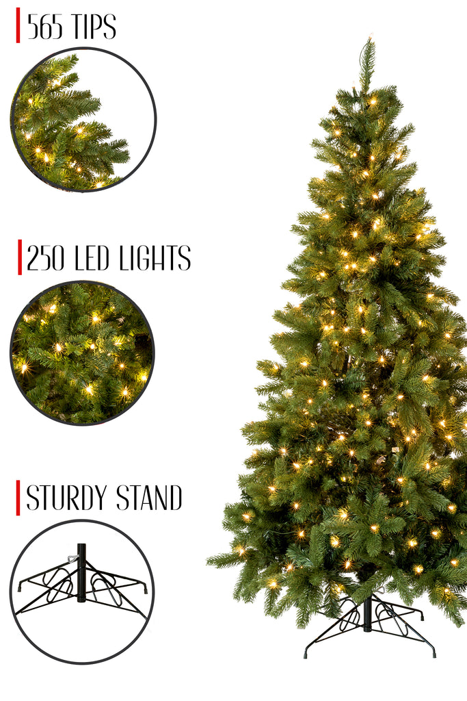 565 Tips 250 Led Lights 6' Prelit Nobel Fir Christmas Tree with Warm White Lights