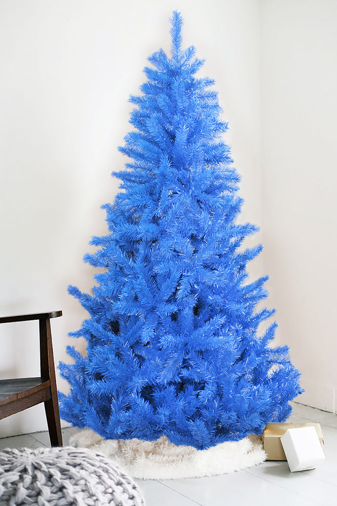 6' Blue Norway Pine Tree