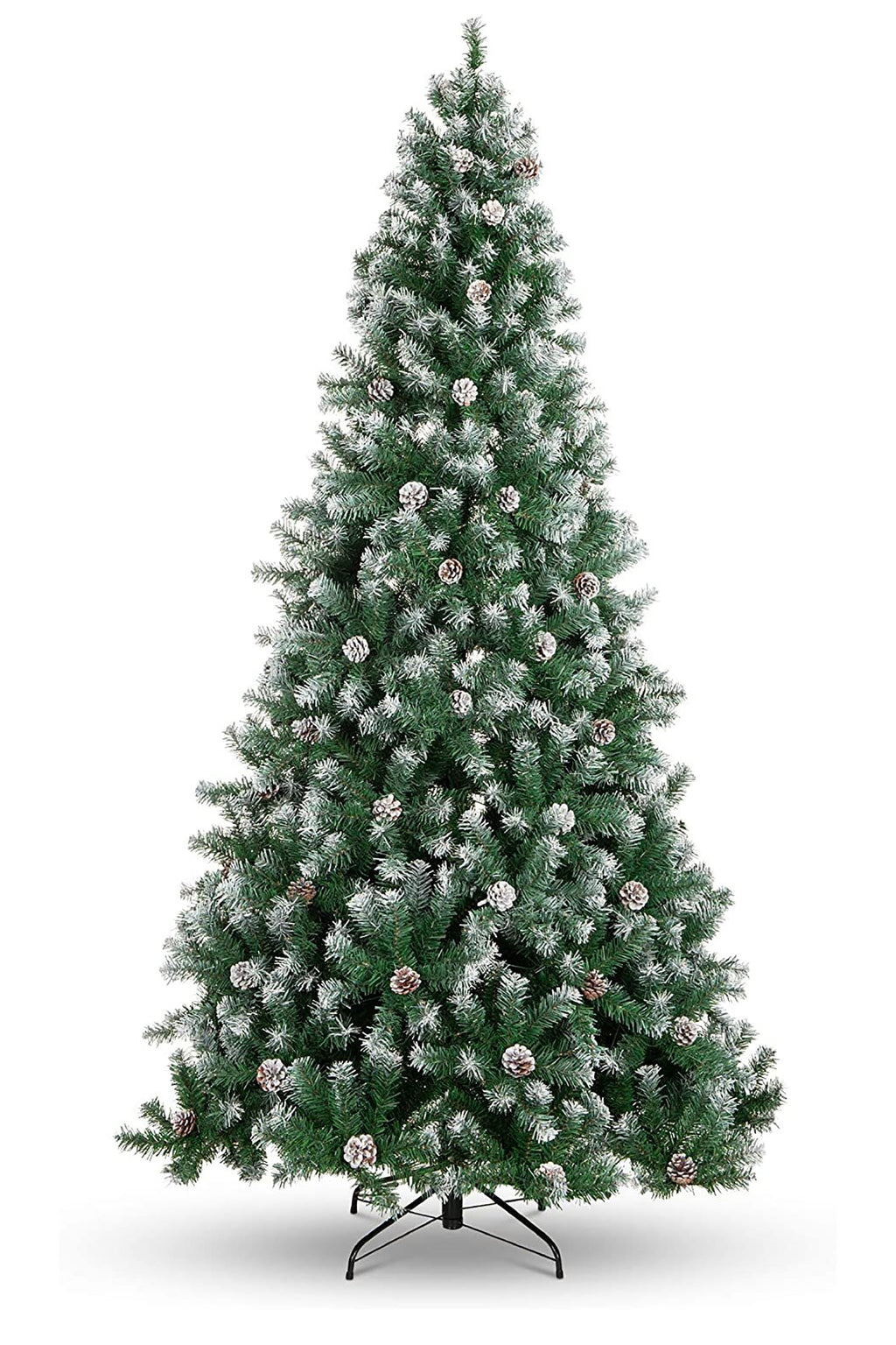 Perfect Christmas Frosted Oregon Fir with Snow Dusted Pine Cones