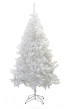 White Pine Christmas Tree