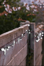 Fance Decor 100 LED 32ft Solar Powered Outdoor String Light