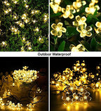Cozy Warm  50 LED Cherry Blossom Solar Light