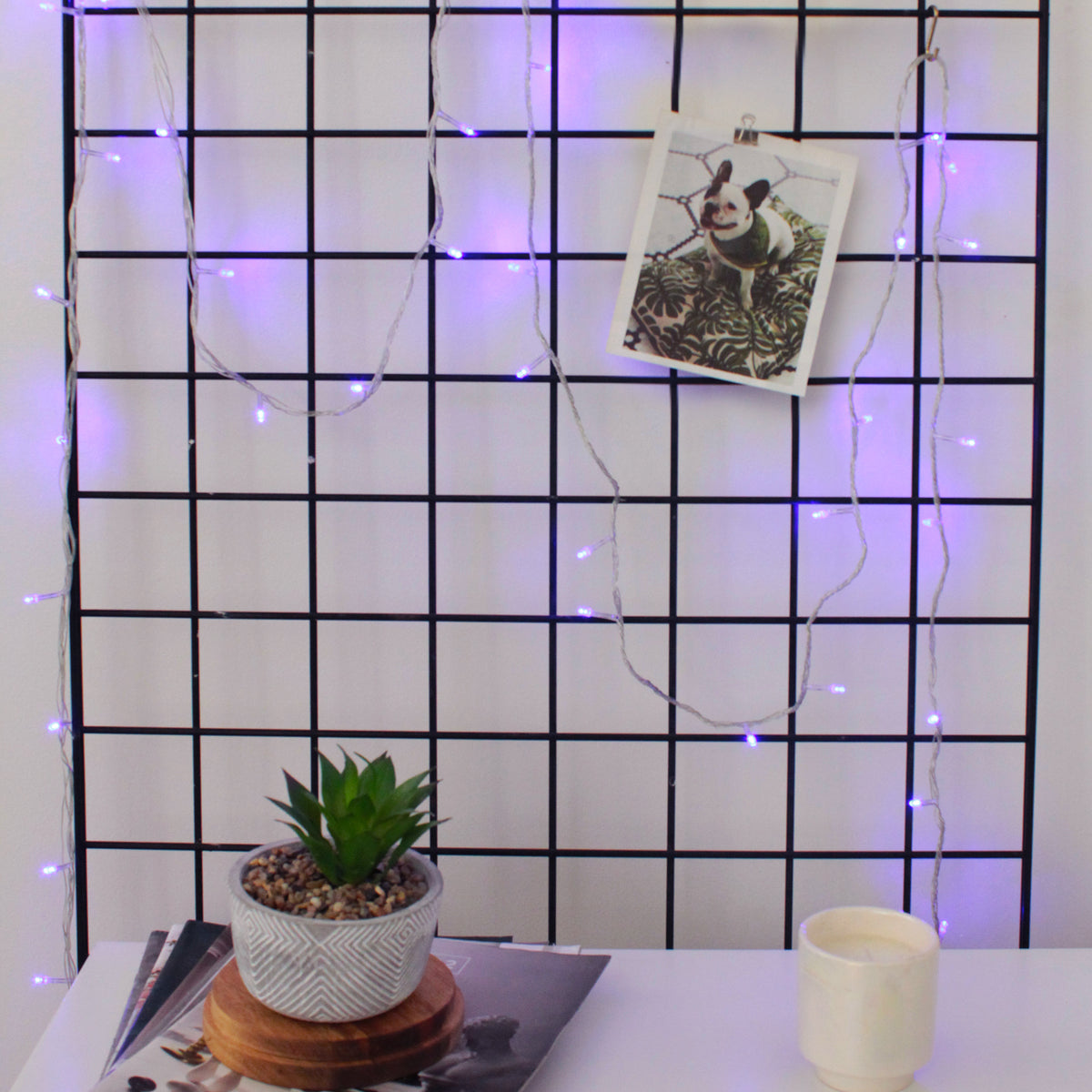 Cozy Room Decor 30 LED Clear Cable String Lights - Battery Operated