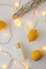 Indoor/Outdoor 200 LED String Lights with Flexible Clear Wire
