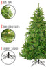 Perfect Holiday Home Decor 6ft Prelit Tapered Salem Pine 1145 Tips, 350 Lights