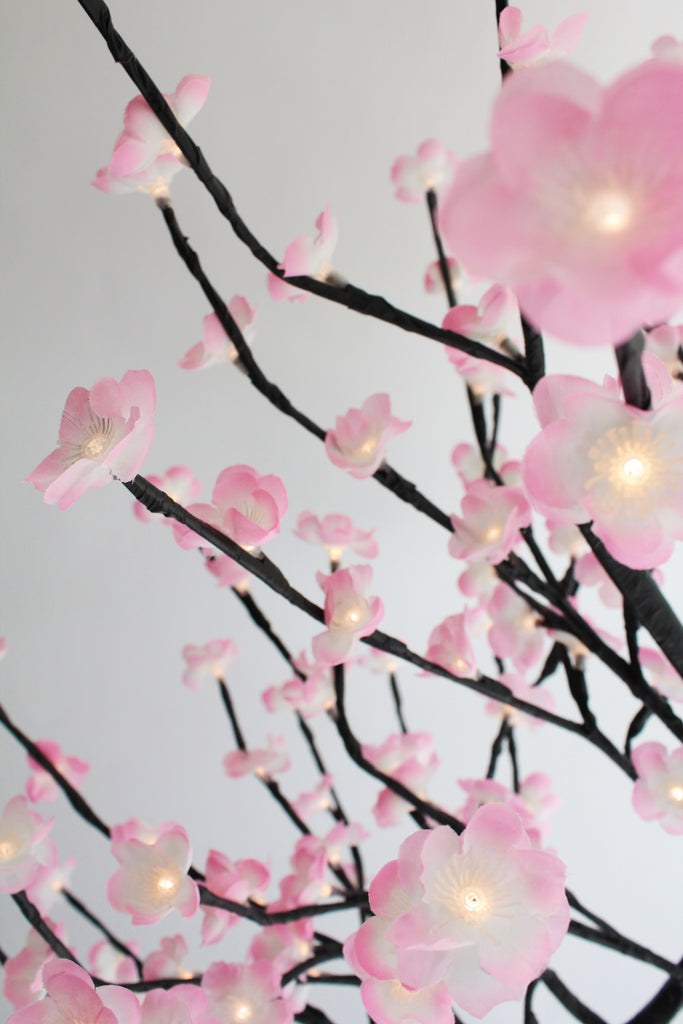 Real Flower 3.5' Pink Cherry Blossom Lighted Tree with Warm White Lights