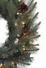 Holiday Home Decor 24" Pre-lit Carolina Spruce Wreath with Pine Cones & Red Berry Clusters