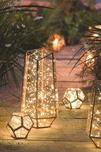 Magic Indoor/Outdoor Home Decor 20 LED Silver Copper Mini String Light - Batteries Included