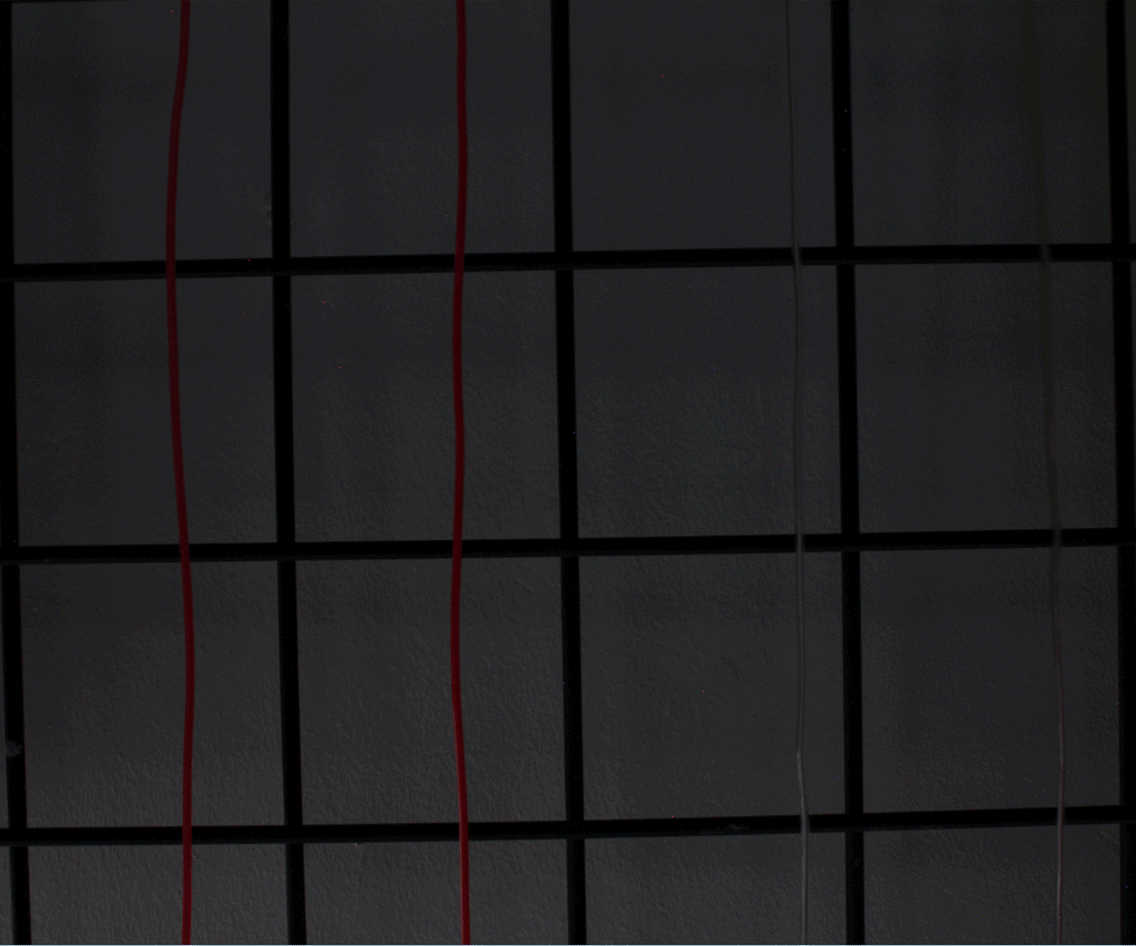 Multimode 6' Neon String Light - Battery Operated