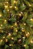 Cozy Warm Lights 6' Prelit Nobel Fir Christmas Tree 
