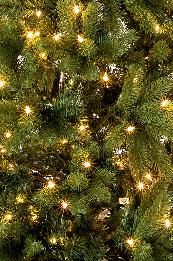Cozy Warm Lights 6' Prelit Nobel Fir Christmas Tree 
