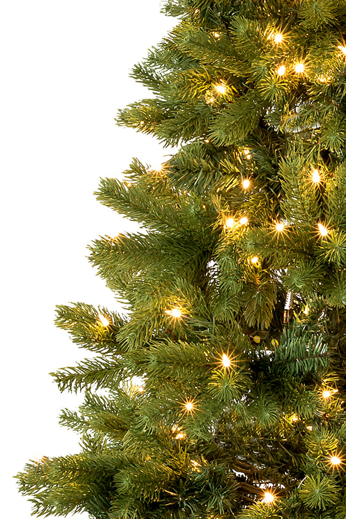 Real Christmas 6' Prelit Nobel Fir Tree with Warm White Lights