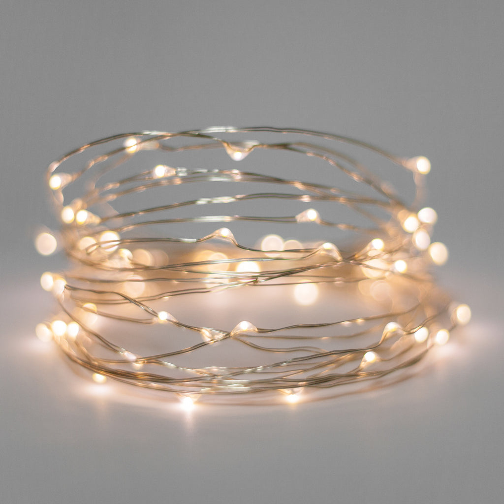 Gilden Theme 20 LED Silver Copper Fairy Lights - Battery Operated