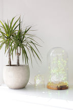 20 LED Silver Copper Fairy Lights - Battery Operated