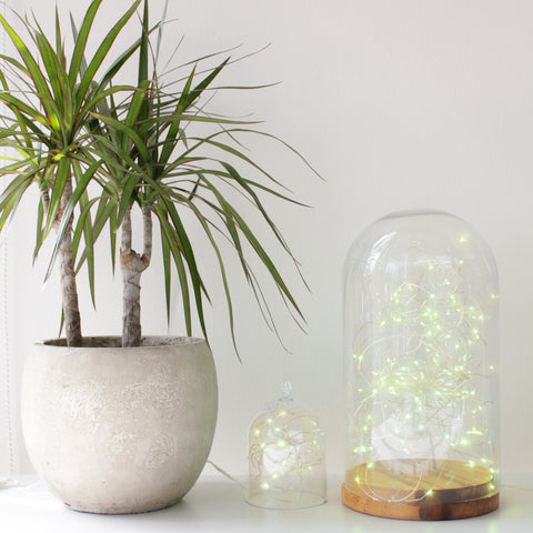 Outdoor Battery & Plug in Lights